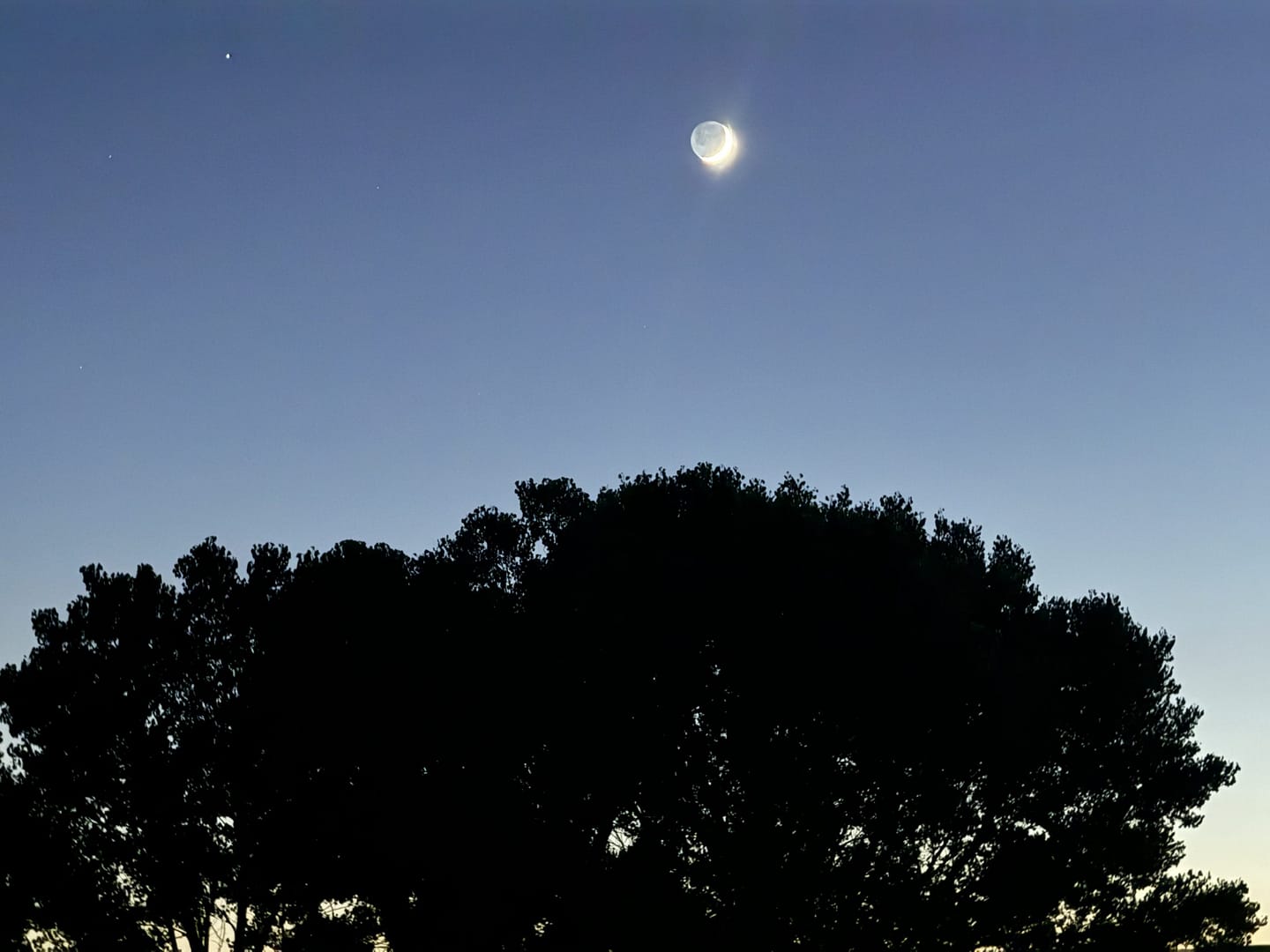 Two 60 Minute Intuitive Counseling Sessions