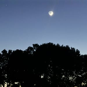 Two 60 Minute Intuitive Counseling Sessions